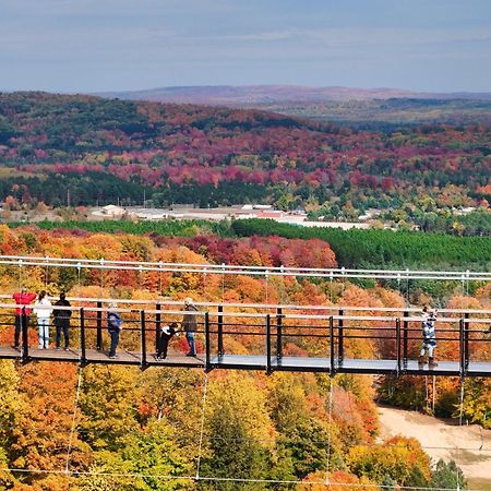 801 Mountain Cabin Boyne Falls Exteriér fotografie