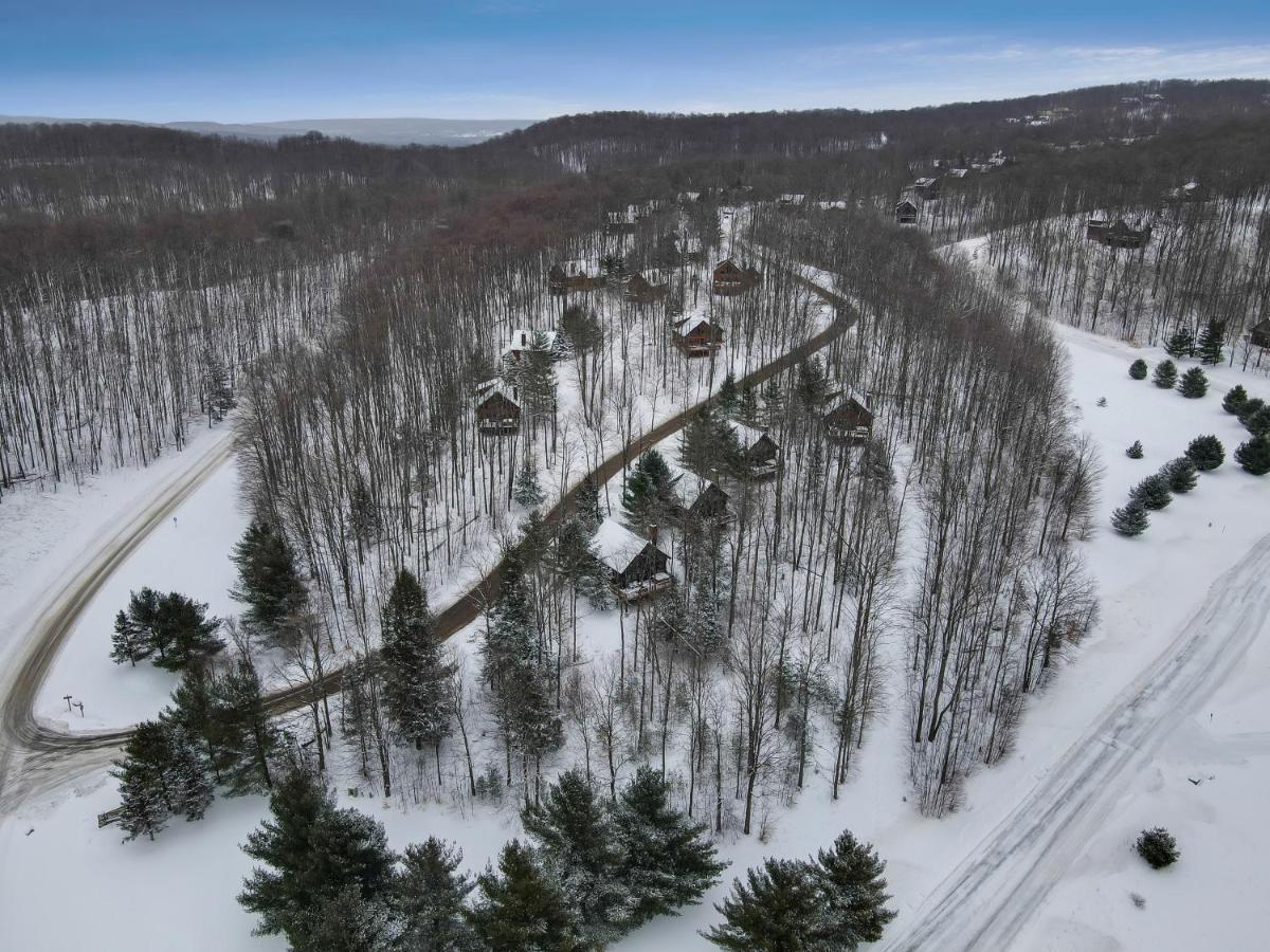 801 Mountain Cabin Boyne Falls Exteriér fotografie
