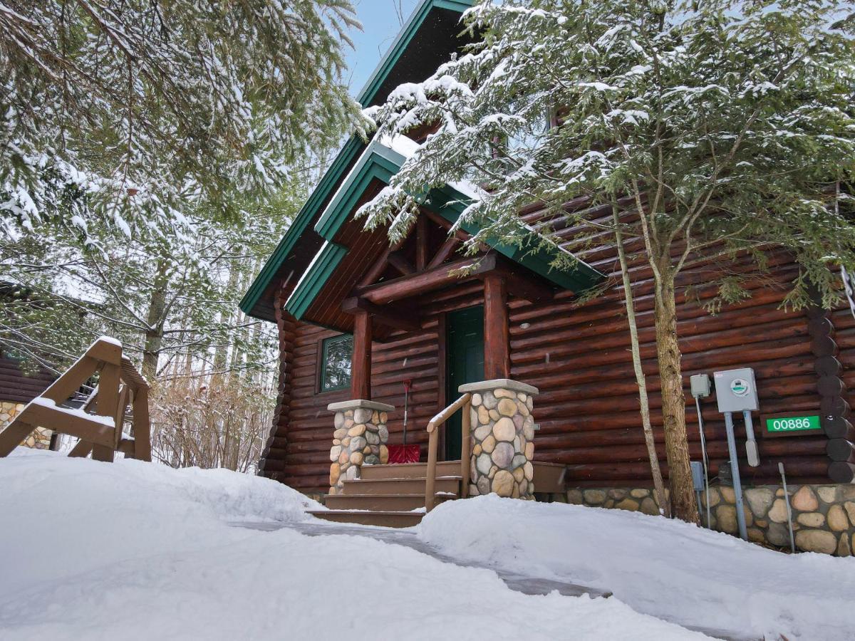 801 Mountain Cabin Boyne Falls Exteriér fotografie