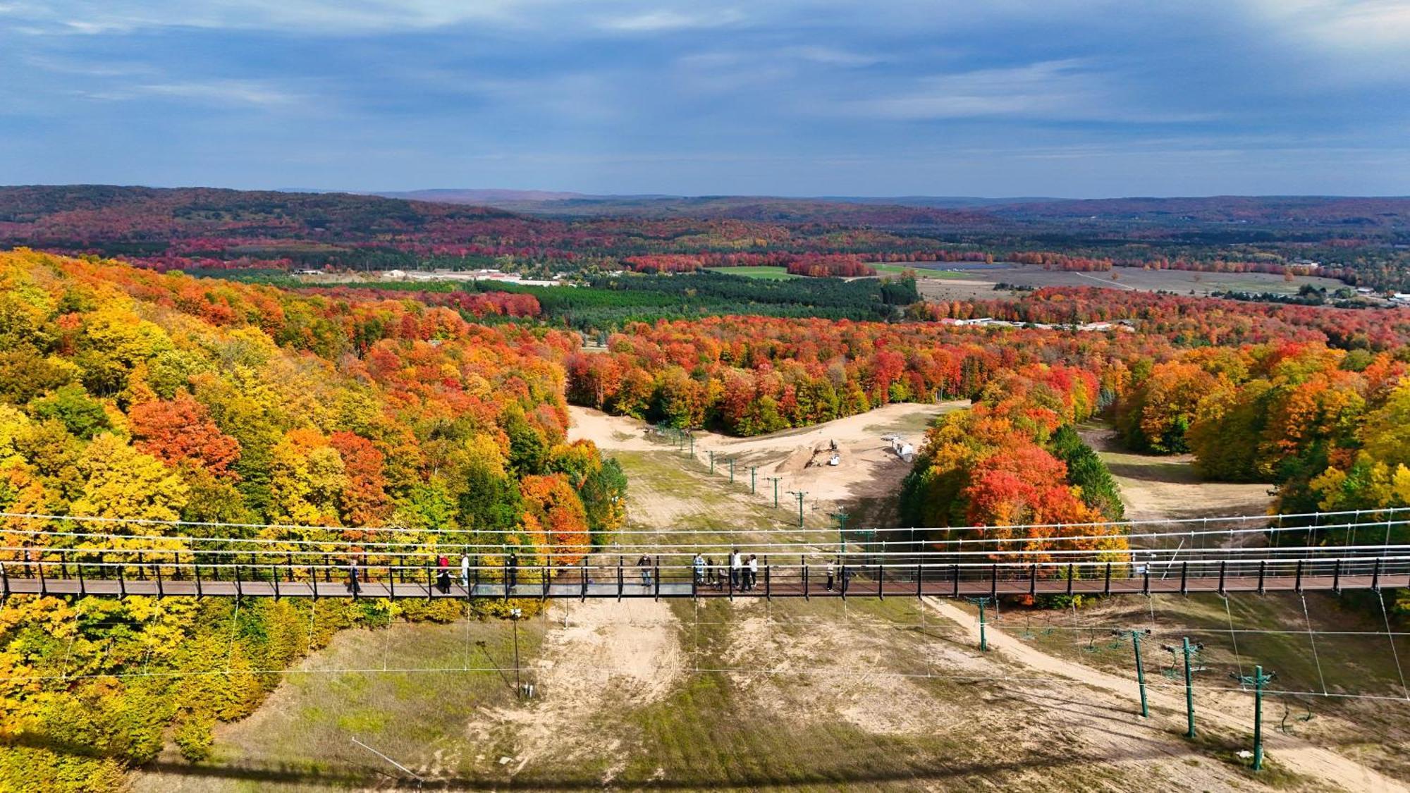 801 Mountain Cabin Boyne Falls Exteriér fotografie