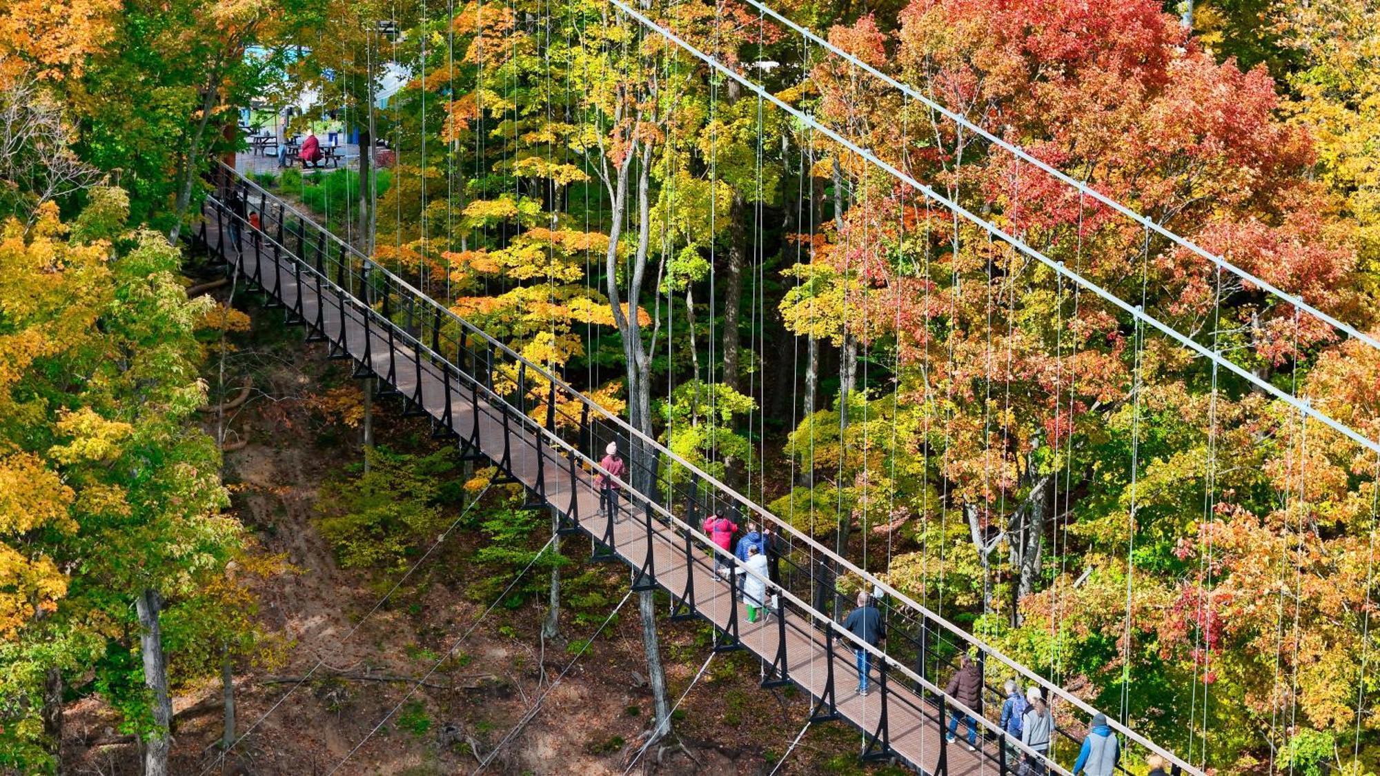 801 Mountain Cabin Boyne Falls Exteriér fotografie